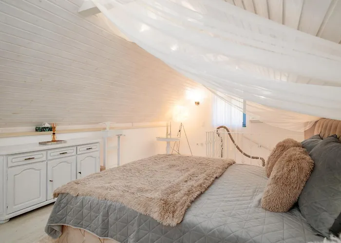 Feszek زالاجيرسيج