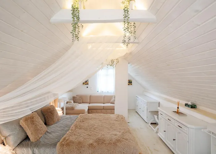 Feszek فيلة زالاجيرسيج